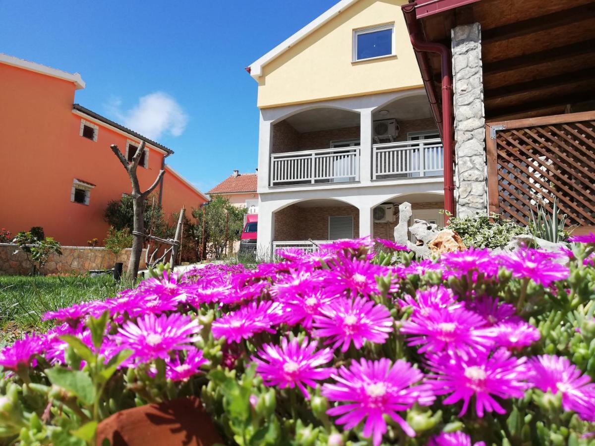 Apartmani Mala Sirena Maslenica Dış mekan fotoğraf
